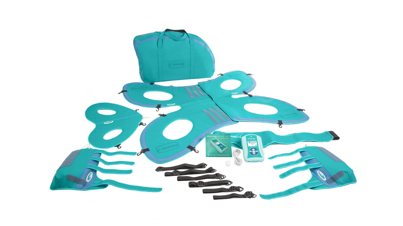 Biomag Lumina 3D-e VET HORSE TREATMENT ELITE